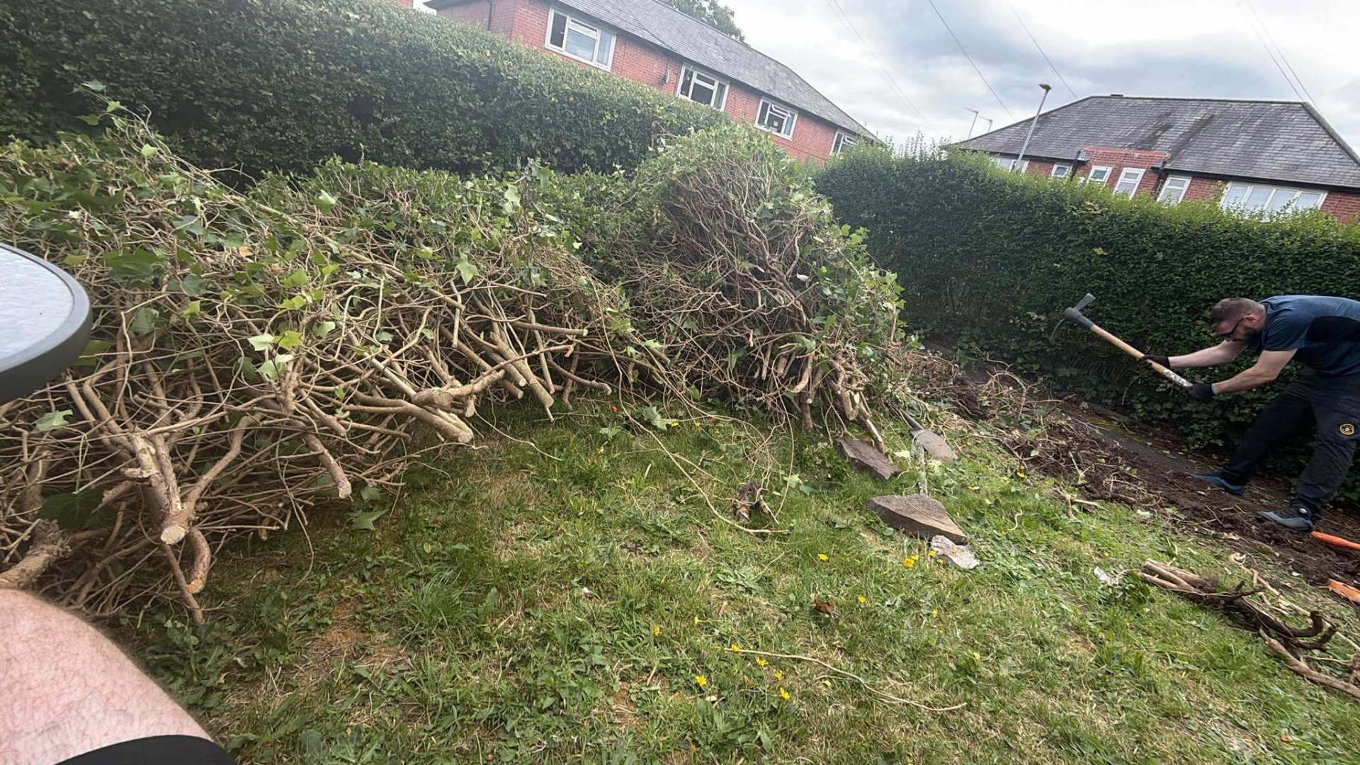 Hedge clearance — Overgrown hedge and garden clearance under way, Manchester